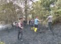 Petugas memadamkan kebakaran di Hutan Lindung Dam Duriangkang Batam